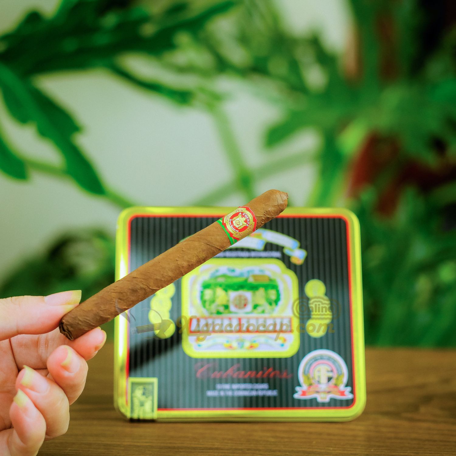 Điếu xì gà mini Arturo Fuente Cubanitos có vòng Zing 32